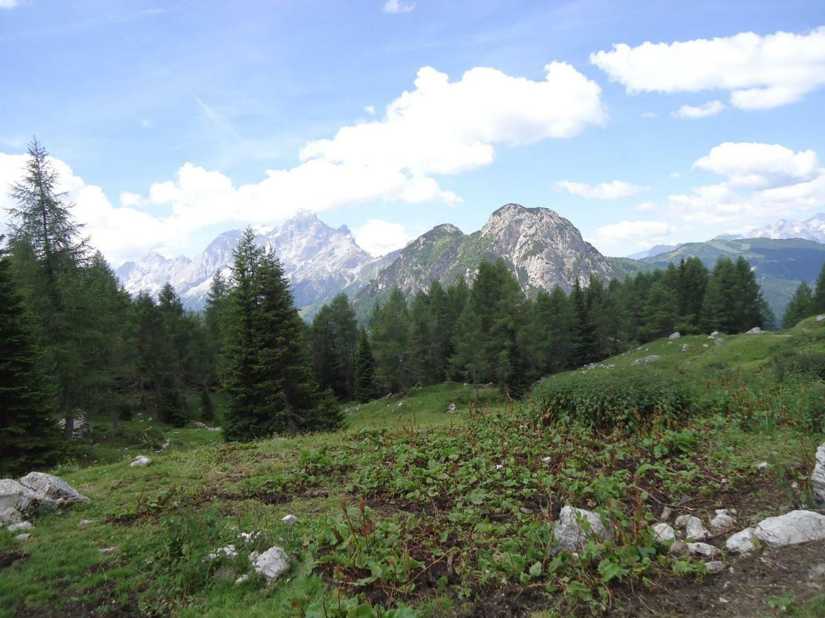 Sweet Home Cortina d'Ampezzo Buitenkant foto